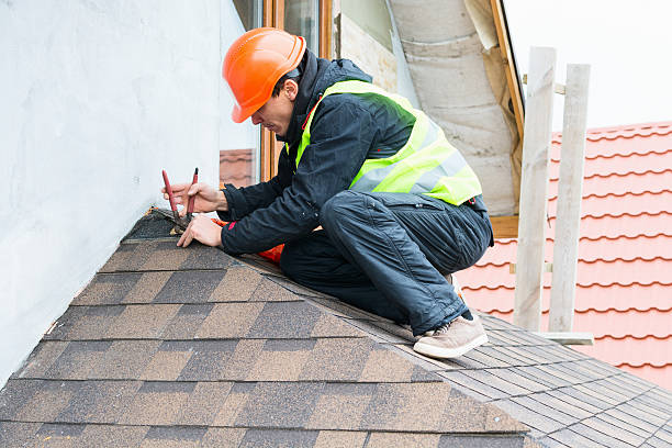 Best Sealant for Roof  in Hillsboro, ND